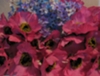 Цветочное ателье Крайновой Марины (devonka)